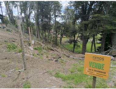 LOTE CON PROYECTO APROBADO